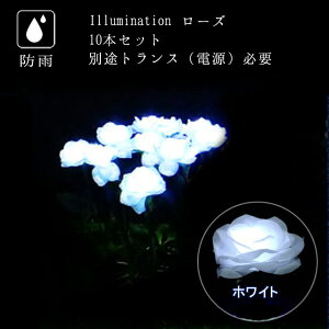 Ɩp C~l[V `[t NX}X  o O hJ LED t[ [Y zCg