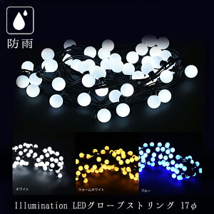 Ɩp C~l[V Xg[gCg NX}X O hJ A\ 100 LEDO[uXgOCg