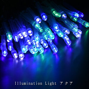 Ɩp C~l[V Xg[gCg NX}X O hJ A\ 100 2c gU^ LED XgOCg ~bNX ANA