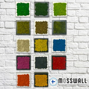 CeA Ǌ| 13cm×13cm O[  O[pl EH[t[ EH[O[ ktBĥȃCfBAX t[A[g j v[g MOSSWALLFRAME M