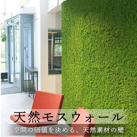 壁面緑化 壁面緑化パネル 40×60cm 北欧 天然 モス グリーンウォール ウォールグリーン *モス プリザーブド* グリーンパネル 壁掛け 防音材 インテリアグリーン レインディアモス 苔 MOSSWALL モスパネル モスウォール
