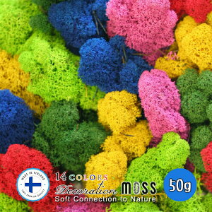 X CfBAX 50g vU[uh vU[uht[ tBhX J[X O[X AW n[oE p[c  ԍ Ԏ f ޗ WI}    MO