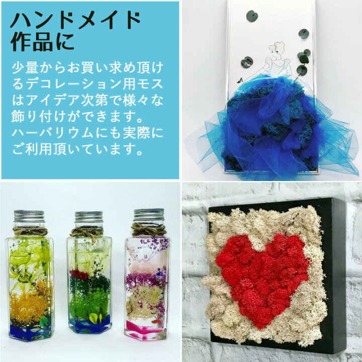 楽天市場】モス フィンランドモス 1kg プリザーブド プリザーブド 