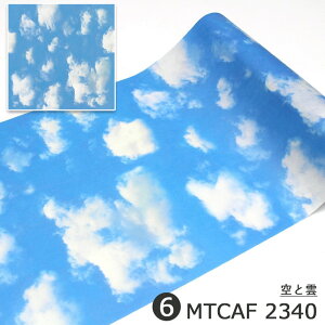 \Ă͂ ǎ V[ mtCASA FLEECE 23cm×5m ܂Ƃߔ }Xe DIY }XLOe[v JH UCN Ebh ؖ o    F _ yCgEbh N a g 