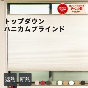 _炩ރXN[@njJVF[h@v[cXN[ v[@I[_[TCYΉ njJXN[ ՔM fM ȃGl Ռ Iׂ FN: