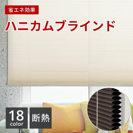 【ショップオブザイヤー2023受賞】 柔らかい光が差し込むスクリーン　ハニカムシェード　プリーツスクリーン プレーン　オーダーサイズ対応 ハニカムスクリーン 遮熱 断熱 省エネ 遮光 も選べる FN: