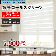 【ショップオブザイヤー2023受賞】 スクリーン ロールカーテン オーダー つっぱり カーテンレール 遮光 …