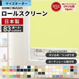 【P4倍☆20日23:59まで】 ロールスクリーン ロールカーテン オーダー 遮熱 遮光 1級 つっぱり　ウォッシャブル 洗える 間仕切り 防炎 防水 シースルー 浴室 選べるタイプ タチカワ 無地 北欧 おしゃれ 日本製 新生活