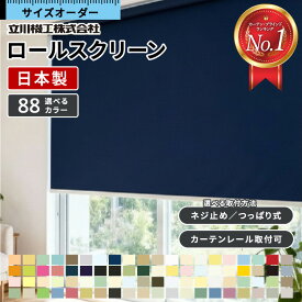 【15～16日限定☆P最大4倍】 【累計18万台突破】 ロールスクリーン オーダー 断熱 遮光 1級 つっぱり ロールカーテン ウォッシャブル 洗える 間仕切り 遮熱 防炎 防水 シースルー 浴室 選べるタイプ タチカワ 立川機工 賃貸OK 無地 北欧