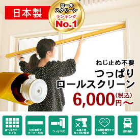 楽天市場 部屋 仕切り カーテン ブラインド カーペット カーテン ファブリック インテリア 寝具 収納の通販