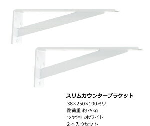 I󂯋 XJE^[uPbg y100×250~z 2{ Zbg