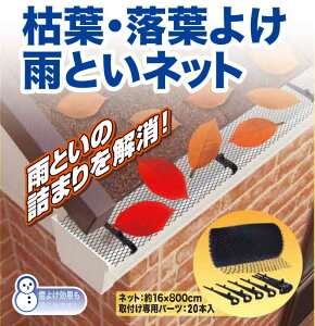 Jǂ lbg ͗t t 悯 J Jo[ 8M