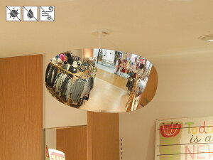 X ~[  p X[p[I[o y550×275~z lW~ t