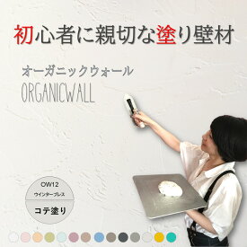 《楽天ランキング1位 6冠獲得》壁紙 の上から塗れる 塗料 塗り壁 オーガニックウォール ウインターブレス ｜ 塗る壁紙 壁塗り しっくい 簡単 塗れる 練り 漆喰 珪藻土 塗料 壁 壁材 壁紙 塗る だけ 屋内 内装 室内 壁 DIY 模様替え カラー 白 ペイント リノベ リフォーム