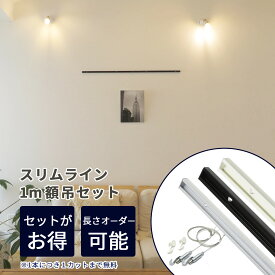 ピクチャーレール ワイヤー スリムライン 1m 額吊セット ピクチャーレールセット 後付け ピクチャー レール ハンギングレール ハンガーレール 壁面 おしゃれ 天井付け 写真かけ ポスターレール 壁掛けレール 吊り下げレール 新型ワイヤーフックα アルファ 【額2枚分セット】