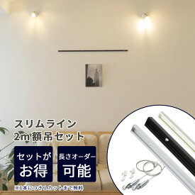 ピクチャーレール ワイヤー スリムライン 2m 額吊セット ピクチャーレールワイヤー フック ピクチャーレール用ワイヤー レールフック 使いやすい 絵画 壁掛けフック ピクチャーレールフック 額縁吊り金具 ポスター 吊り下げ 壁 天井 新型ワイヤーフックα 1m 額2枚分セット