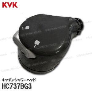 KVKmMYMnLb`V[wbh HC737BG3iFB237FK2pj_[NO[ 䏊p V[i CEIvVp[c MYMi
