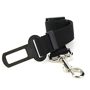  V[gxg ėp^Cv ybgpV[gxg pV[gxg [h Sxg яoh~xg Ԑp[h V[gxgp[h hCuxg hCup[h V