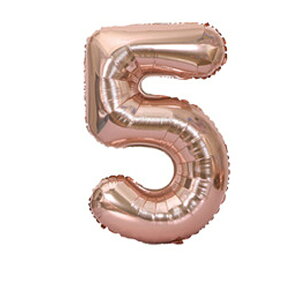 D  t a D o[ A~D   100cm 40C` rbOTCY BIG a o[Xf[  EFfBO p[eB[ Cxg NX}X YN w 