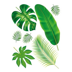 EH[XebJ[ A    k ϗtA ΂̗t Ԃ  A ͂ ǎ V[ XebJ[ EH[XebJ[A  gC Lb` rO Q Ў