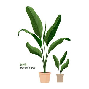 EH[XebJ[ A    k ϗtA ΂̗t Ԃ  A ͂ ǎ V[ XebJ[ EH[XebJ[A  gC Lb` rO Q Ў