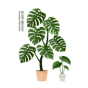 EH[XebJ[ A    k ϗtA ΂̗t Ԃ  A ͂ ǎ V[ XebJ[ EH[XebJ[A  gC Lb` rO Q Ў