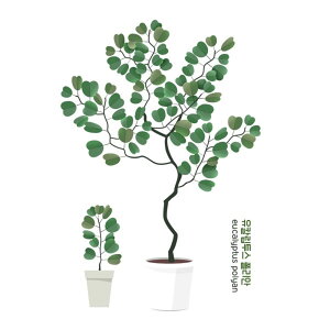 EH[XebJ[ A    k ϗtA ΂̗t Ԃ  A ͂ ǎ V[ XebJ[ EH[XebJ[A  gC Lb` rO Q Ў