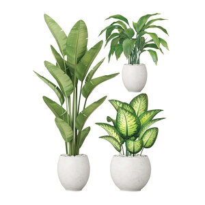 EH[XebJ[ A    k ϗtA ΂̗t Ԃ  A ͂ ǎ V[ XebJ[ EH[XebJ[A  gC Lb` rO Q Ў