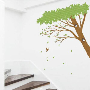 EH[XebJ[ A  [؂ƒ̑] EH[XebJ[ q EH[XebJ[ k EH[XebJ[ A  EH[XebJ[ c[ EH[XebJ[  EH[