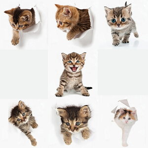 gbNA[g EH[XebJ[ lR L яo 7Zbg k l킢 _ 킢 wall sticker gC rO \Ă͂ fR[VV[ ǎV[ C
