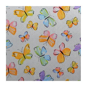 KXtB ډB KX tB ډB V[g ͂  X[NtB y90cm fUCz S15 1mP tB  tH[ h ډBtB U