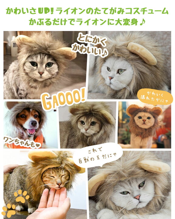 楽天市場 メール便送料無料 ライオン 猫 被り物 ねこ かぶりもの かわいい たてがみ ネコ 帽子 コスプレ グッズ ペット 変身 仮装 コスチューム 小型犬 犬 ライオンキャップ 耳付き キュート 猫用 犬用 安い 着せ替え ねこちゃん わんちゃん おもちゃ S M L Y4 Diy