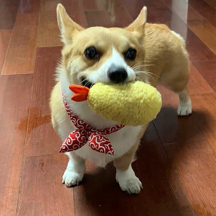 楽天市場 メール便送料無料 犬 おもちゃ 音が鳴る えび天 海老天 えび天ぷら 犬用噛むおもちゃ ぬいぐるみ 犬用おもちゃ ペットおもちゃ 犬 おもちゃ 音 犬用品 ペット用品 ペットトイ 小型犬 中型犬 大型犬 犬猫兼用 噛むおもちゃ ドッグトイ 甘噛み 噛む運動 Y4
