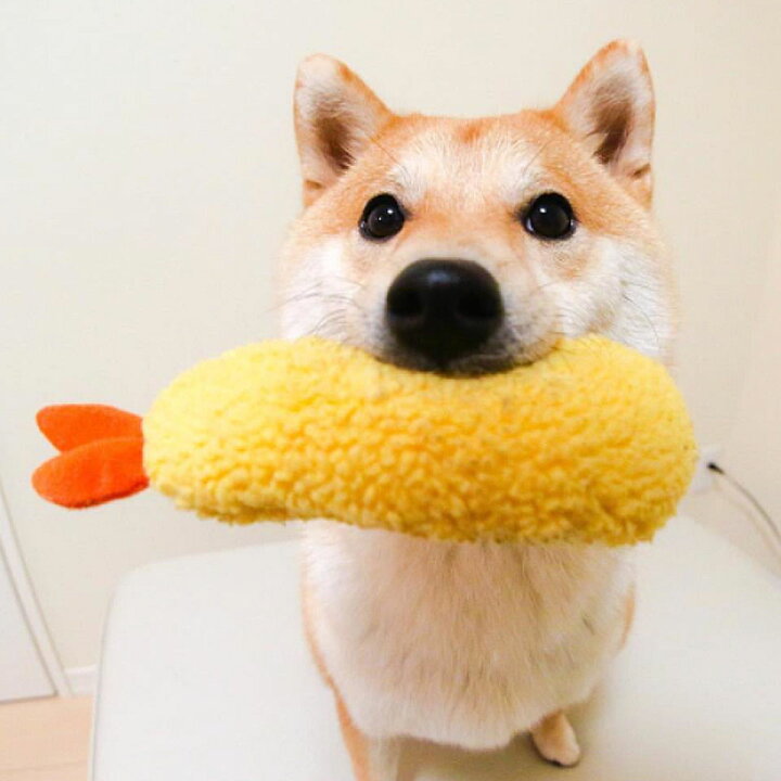 楽天市場 メール便送料無料 犬 おもちゃ 音が鳴る えび天 海老天 えび天ぷら 犬用噛むおもちゃ ぬいぐるみ 犬用おもちゃ ペットおもちゃ 犬 おもちゃ 音 犬用品 ペット用品 ペットトイ 小型犬 中型犬 大型犬 犬猫兼用 噛むおもちゃ ドッグトイ 甘噛み 噛む運動 Y4