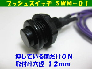 �I�v�V�����X�C�b�`�@SWM�|01