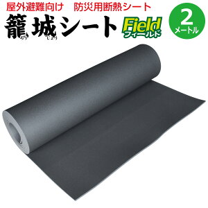 hЃObY  ₦ ΍ pfMV[g O̕Ki ďV[gtC[h2m