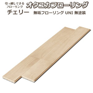 złt[O INJ `F[ Ct[OyށzyDIYzyuz