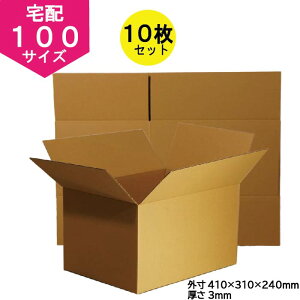 y{z_{[ 100TCY 10Zbgi܂肽ݔzij z z  [ dC2-H-10