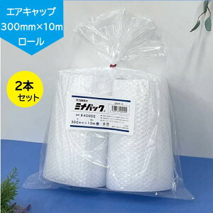 y{z䉻w 2{Zbg 400SS 300mm×10m ɏՍ [ ~ipbN ǂȂ GALbv