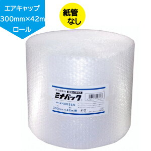 y{z䉻w 30cm×42m RAX GALbv [ ~ipbN