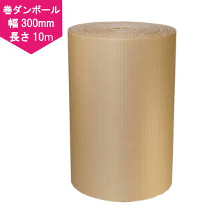 y{z i{[ i 300mm× 10mj Ntg _{[ z  _{[
