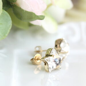 XtXL[X^[ꗱsAXi/NX^jy{z