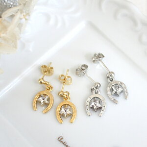 z[XV[XtXL[X^[ꗱsAX/COy{z