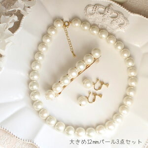 3_Zbgʉi傫12mmp[RNV/lbNX/CO/ob^