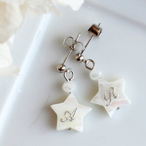 VFX^[sAX/COyDȃCjVIׂzy{z