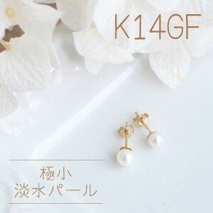 K14GFiS[htBhjɏWp[ꗱsAXy{z