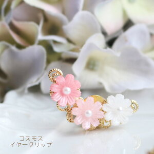 yЎ̔zRXXC[NbviNbvCOjy{z