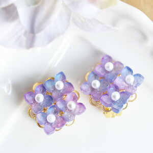 zԃXNGAC[NbviNbvCOjy{z