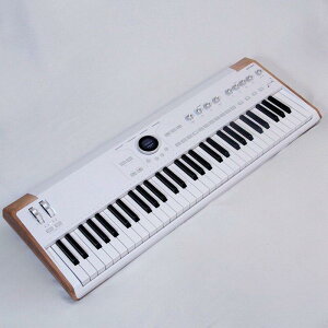 Arturia �iBuy one get V Collection X for Free�L�����y�[���jAstroLab (Avant-garde Stage Keyboard)(�A�E�g���b�g)(1�����E�W���N���A�����X�������I) �A�[�g���A �V���Z�T�C�U�[�E�d�q�y�� �V���Z�T�C�U�[