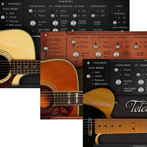 Acoustic Samples AS Guitar Collection(����s��)(�I�����C���[�i) DTM �v���O�C���\�t�g